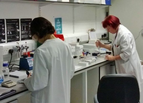 Immunoassay Bio Core Lab