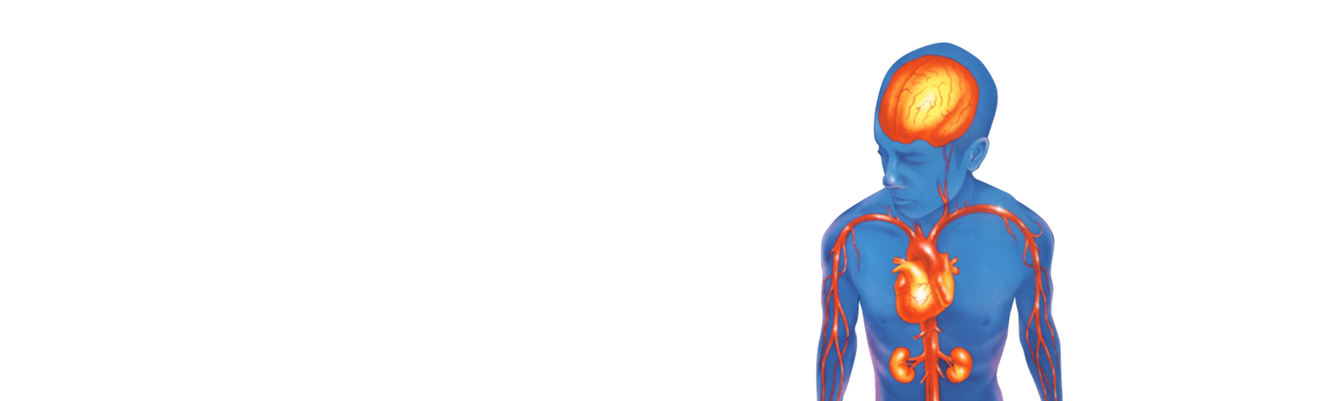 The Institute of 
Cardiovascular Research, Tayside